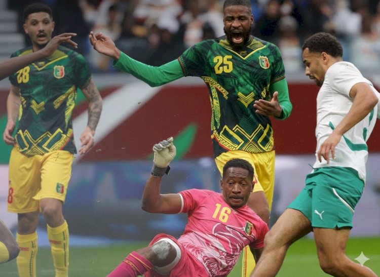 المنتخب المغربي يتأهل لنصف نهائى أمم افريقيا والكاميرون يودع البطولة