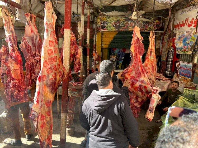 محافظة الجيزة تضبط 75 طن مصنعات لحوم ودواجن فاسدة في شهر