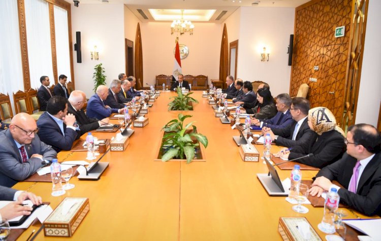 وزير الخارجية يؤكد على دور القطاع الخاص في تعزيز الشراكات الاقتصادية مع أفريقيا