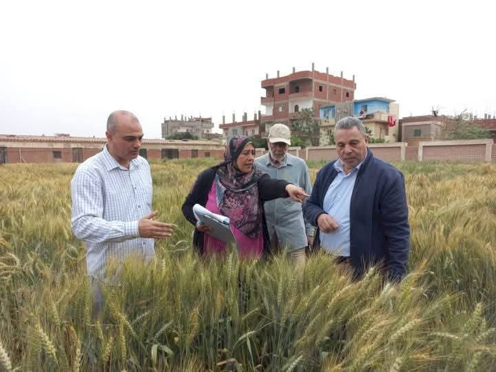 "الزراعة" تستعرض الجهود والأنشطة البحثية ل"أمراض النباتات"  2025