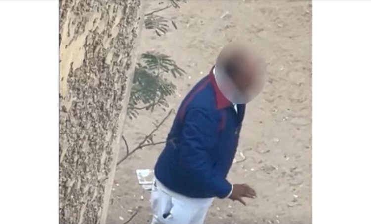 حقيقة فيديو إطعام الكلاب الضالة بالجيزة