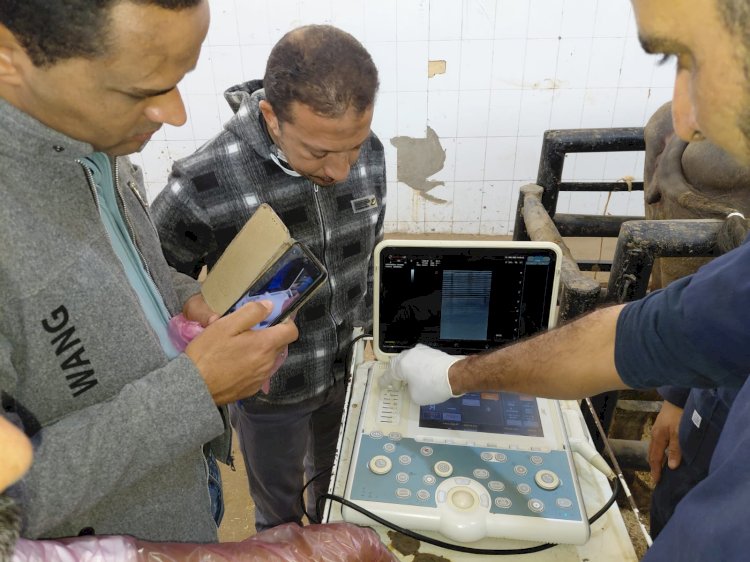 "الزراعة" تطلق برنامجاً تدريبيا لتنمية مهارات الأطباء البيطريين