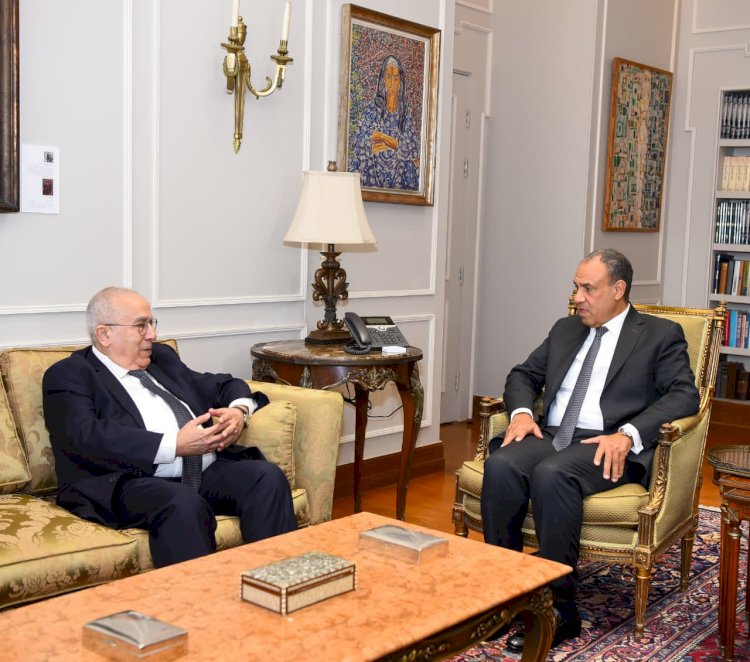 وزير الخارجية يلتقي المبعوث الأممي للسودان ويستعرض الموقف المصري من القضية