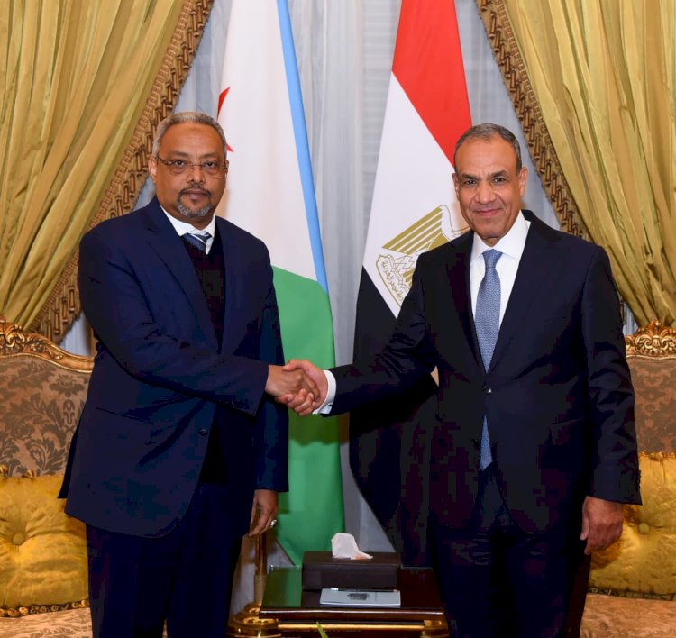 وزير الخارجية يبحث مع نظيره الجيبوتي سبل تعزيز العلاقات 