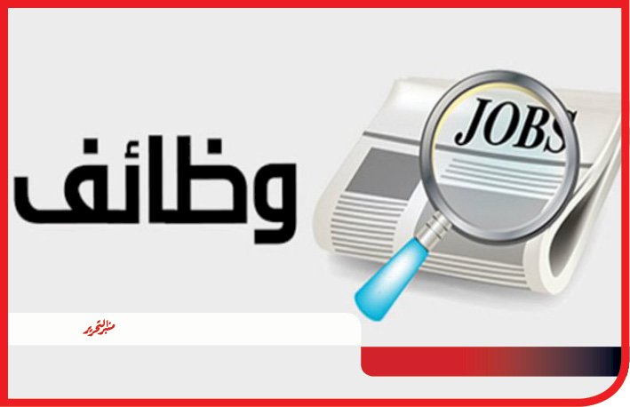 6499 فرصة عمل جديدة في 10 محافظات ضمن نشرة التوظيف لوزارة العمل