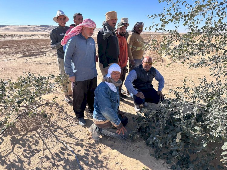 "الزراعة" تواصل تفقد التجمعات التنموية بشمال وجنوب سيناء