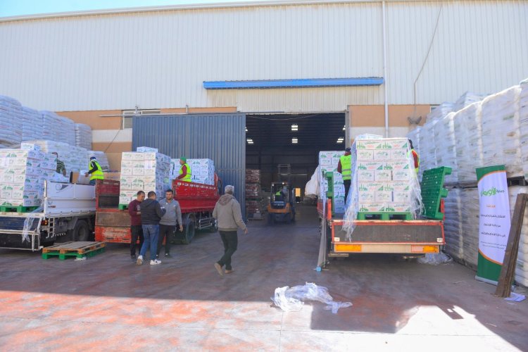 تجهيز وتعبئة 70 ألف كرتونة مواد غذائية استعدادا لشهر رمضان ببني سويف