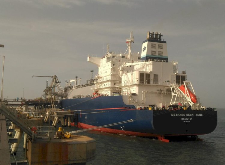 وزارة البترول: تصدير شحنة جديدة من الغاز الطبيعي المسال لتركيا