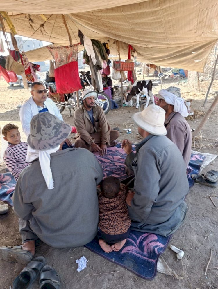 "الزراعة" تنفذ 83 ألف ندوة إرشادية بيطرية لحماية الثروة الحيوانية خلال 2025