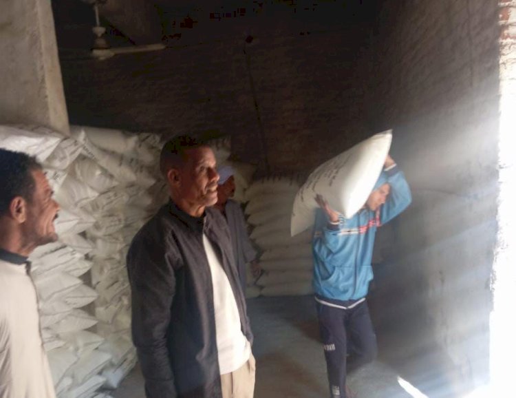 زراعة قنا: صرف 593 ألف شكارة سماد مدعم خلال الموسم الشتوي