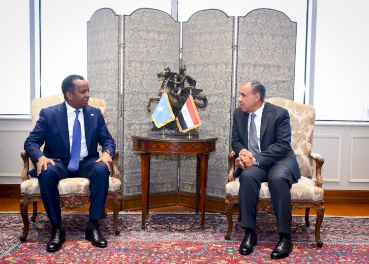 مشاورات مصرية - صومالية لدعم الشراكة الاستراتجية بين البلدين