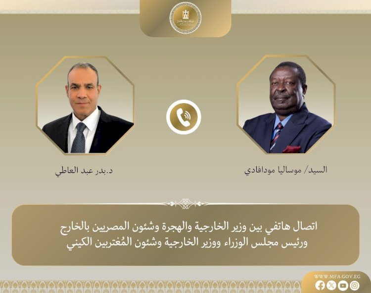 اتصال هاتفي بين وزير الخارجية ونظيره الكيني
