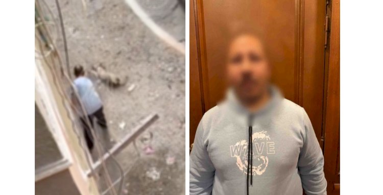 النيابة  تتولي التحقيق مع المتهم بقتل "كلب"بالقاهرة