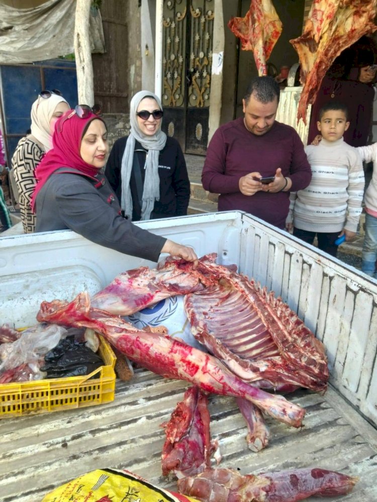 ضبط لحوم أحصنة في حملات تفتيشية علي محلات الجزارة ببني سويف