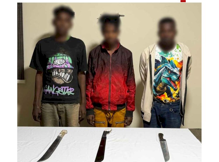 نكشف فيديو مشاجرة الاجانب بأسوان