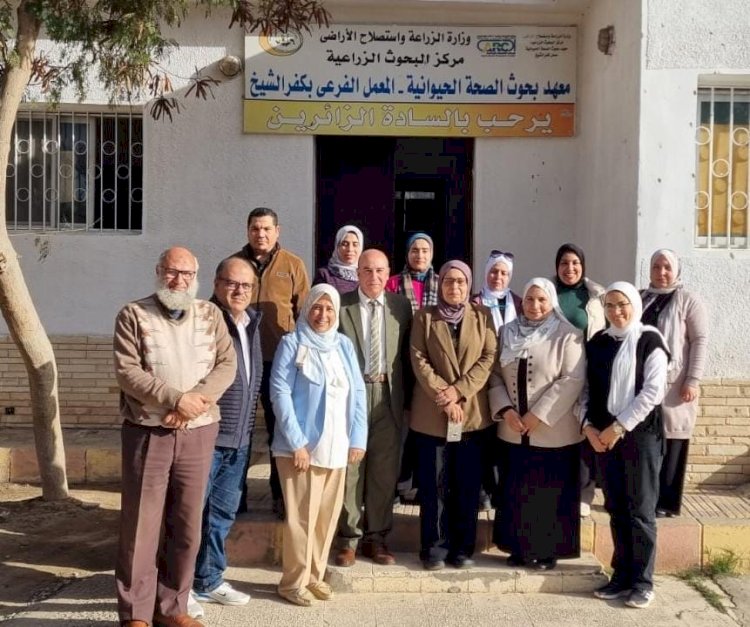 الزراعة:تجديد الإعتماد الدولي لمعمل كفر الشيخ للصحة الحيوانية في كشف ميكروب "الفيبريو"