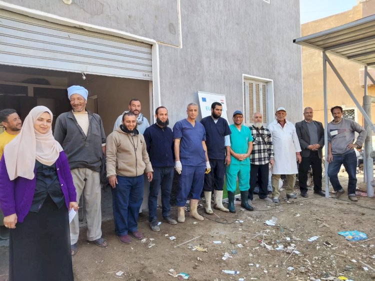 "الزراعة" تنفذ 5 قوافل بيطرية مجانية بقرى بني سويف