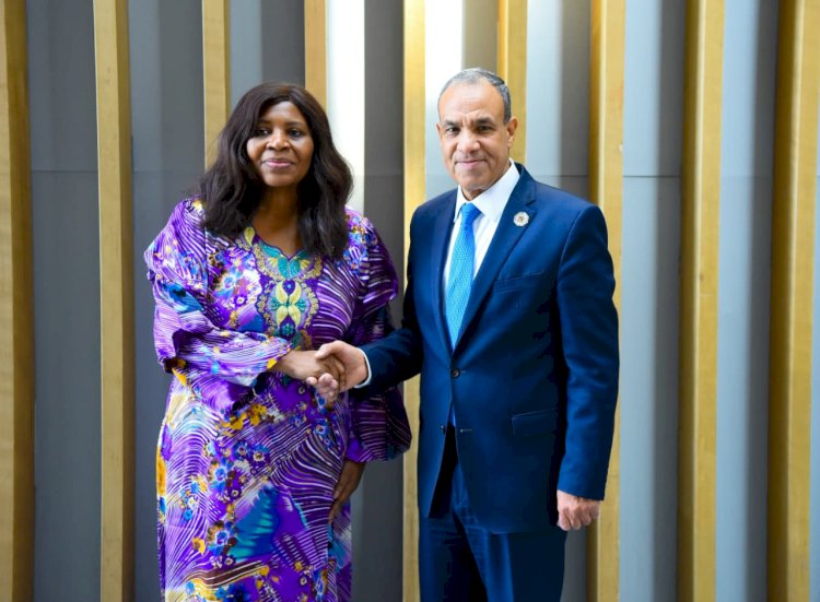 وزير الخارجية يلتقي مفوضة الشئون الاقتصادية والتجارة والسياحة والصناعة والمعادن بالاتحاد الأفريقي