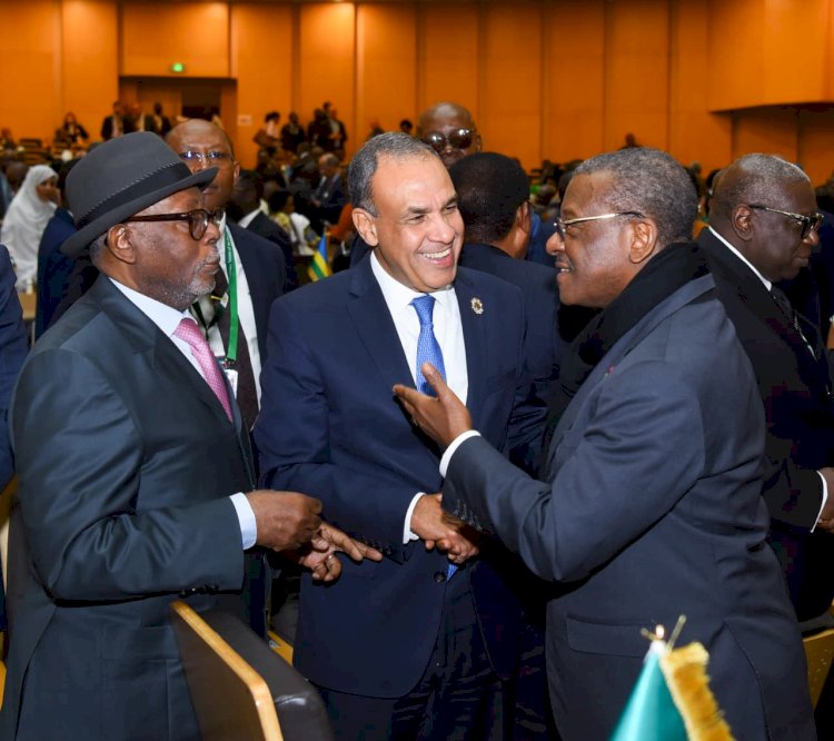 وزير الخارجية يلتقي رئيس جمهورية أفريقيا الوسطى ورئيس وزراء الكاميرون على هامش القمة الأفريقية