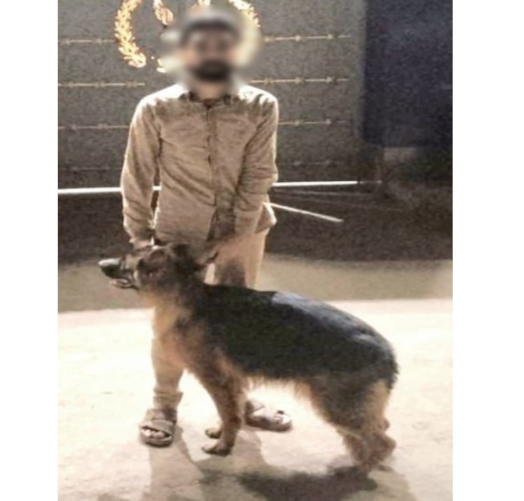 ضبط المتهم بترويع المواطنين بكلب بالاسكندرية