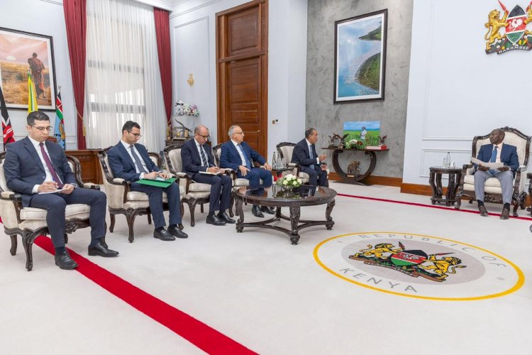 وزير الخارجية ووزير الرى يلتقيان رئيس جمهورية كينيا