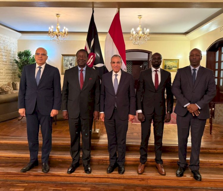 وزير الخارجية يجتمع مع عدد من الوزراء الكينيين لتعزيز الشراكة الاقتصادية والتعاون في مجال إدارة الموارد المائية