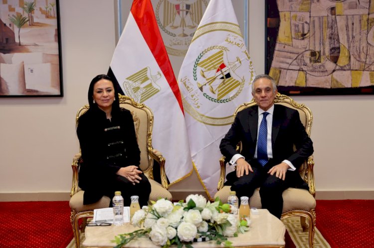 وزيرا العدل والتضامن يبحثان التعاون في المجالات  المشتركة