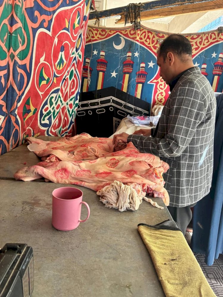 الطب البيطري بسوهاج يضبط لحوم غير صالحة للإستخدام الأدمي