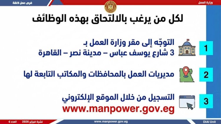 5456 فرصة عمل جديدة تقدمها وزارة العمل .. شروط وتفاصيل