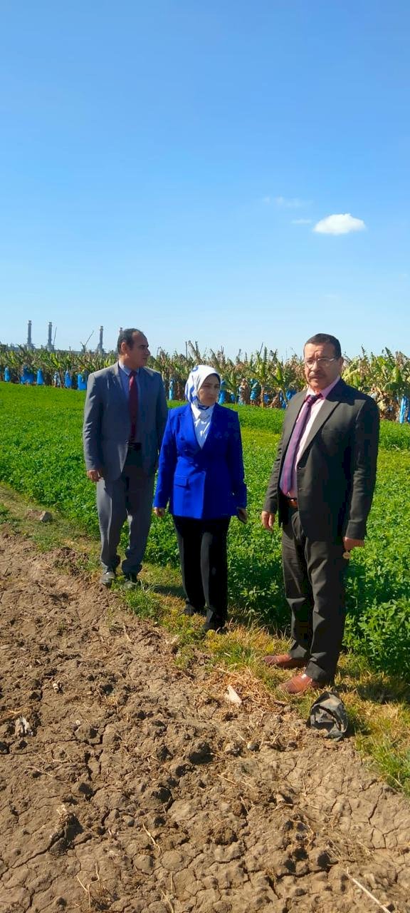 "الزراعة" تشن حملة تفتيش مفاجئة لحماية الرقعة الزراعية بالجيزة