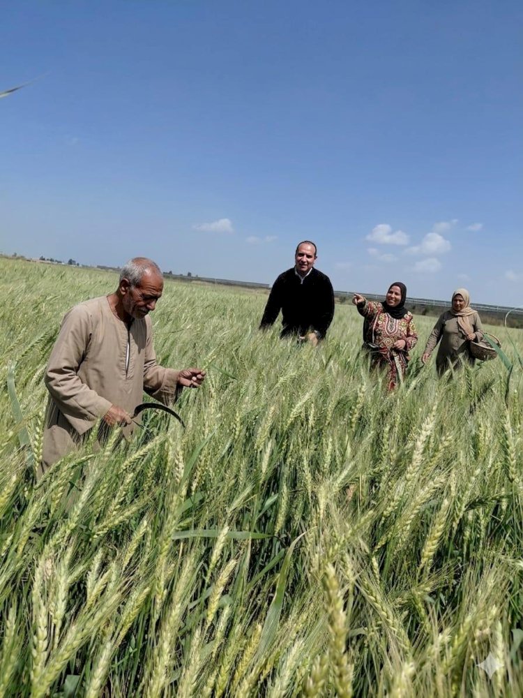 وزير الزراعة يتابع غرف العمليات بحماية الأراضي ومديريات الزراعة أول ايام العيد