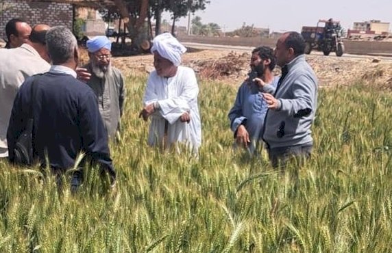 "الزراعة" تتابع البرامج البحثية والحقول الإرشادية بمحطة بحوث كوم أمبو بأسوان