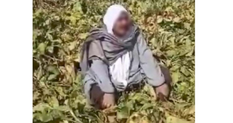 نكشف فيديو إدعاء مزارع قيام أنجال شقيقه برش مبيد حشرى على زراعته لاتلافها بكفر الشيخ