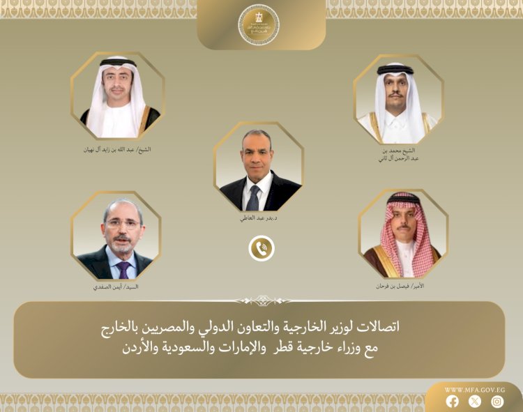 اتصالات هاتفية بين وزير الخارجية ونظرائه في قطر والإمارات والسعودية والأردن لتنسيق جهود خفض التصعيد