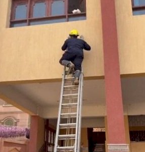 الأجهزة الأمنية تنقذ قطة محتجزة داخل أحد المعاهد التعليمية بالفيوم
