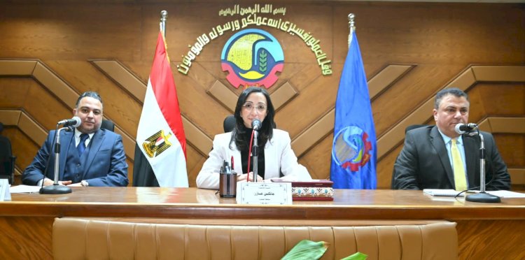 محافظ البحيرة: تطوير المشروعات وتعظيم مواردها لتحسين الكفاءة