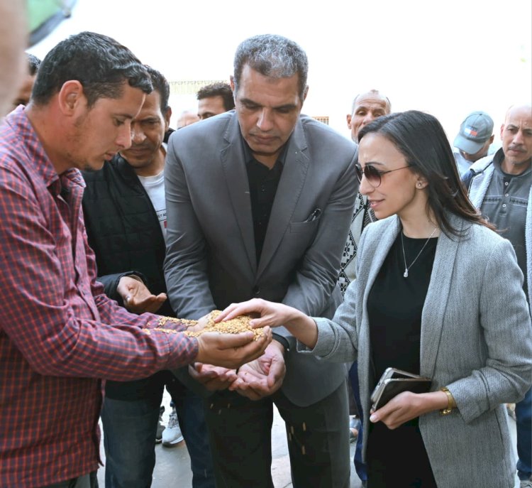 توريد 50 ألف طن قمح بالبحيرة وانتظام المنظومة