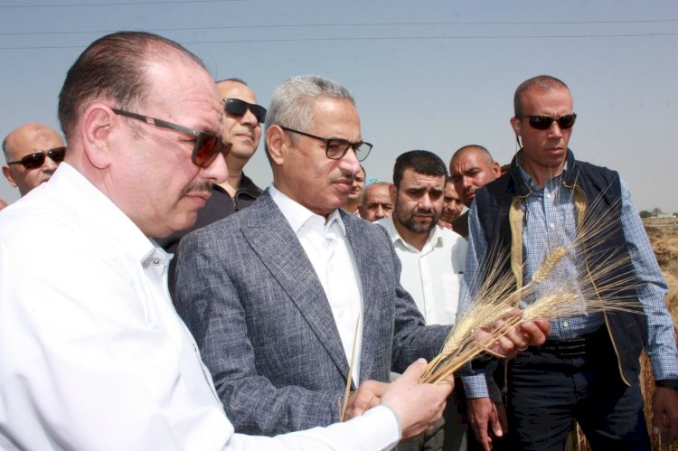 محافظ بني سويف يفتتح موسم حصاد القمح ويوجه رسائل للمزارعين
