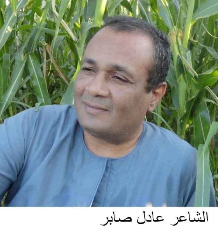 صيّاد الضوء.. حمدى حسين، شاعر ينقذ ذاكرة الشعر  للشاعر الكبير عادل صابر