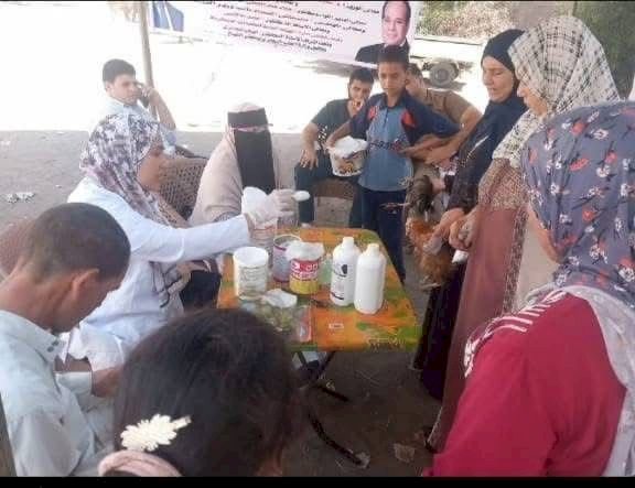 محافظ كفرالشيخ: تحصين 177 ألف طائر متنوع لحماية الثروة الداجنة