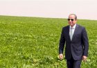 خريطة أرض الفيروز بين التحرير والتعمير من السادات إلي السيسي