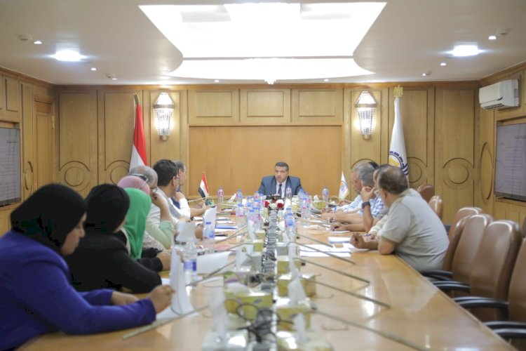 محافظ قنا يشيد ببرنامج التنمية المحلية ويؤكد تسريع التحول الرقمي وتحسين الخدمات