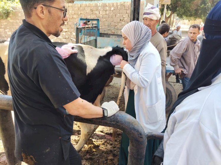 "الزراعة" تقديم خدمات بيطرية مجانية لصغار المربين في قرى أسيوط