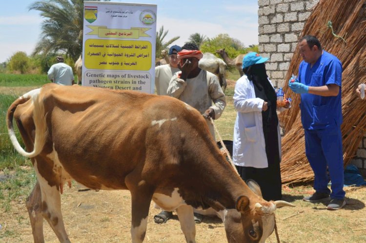 "الزراعة" تختتم القوافل الإرشادية والبيطرية لمركز بحوث الصحراء بتوشكى