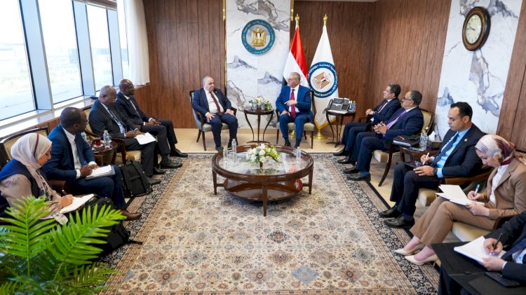 وزير البترول يبحث مع منظمة منتجي البترول الأفارقة التعاون في مجالات الطاقة