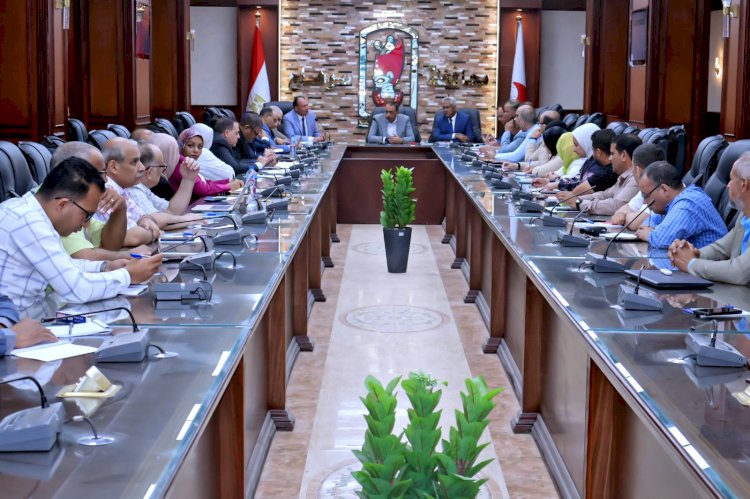 محافظ سوهاج يشارك في اجتماع برنامج التنمية المحلية بصعيد مصر