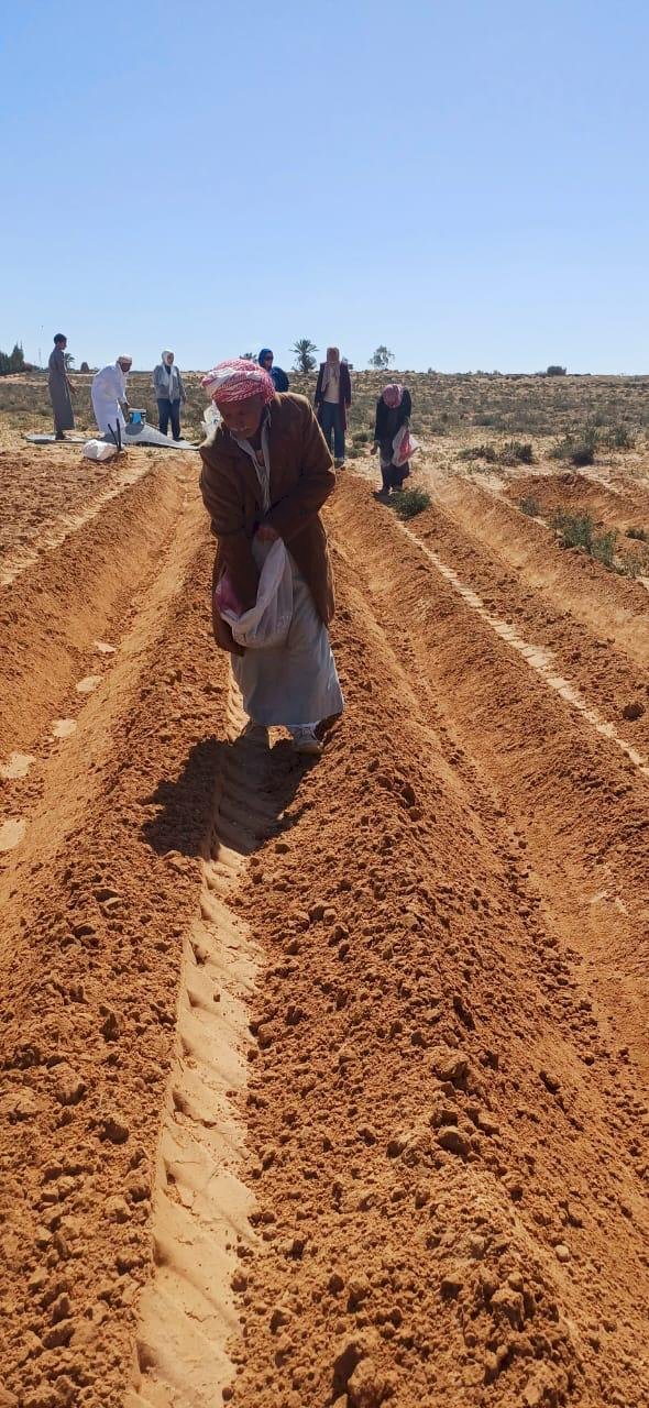 "بحوث الصحراء" ينفذ حقولاً إرشادية بمطروح لمواجهة التغيرات المناخية ودعم الأمن الغذائي
