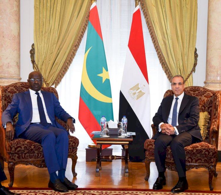 وزير الخارجية يعقد جلسة مباحثات مع نظيره الموريتاني 