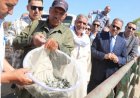محافظ الشرقية يشهد إطلاق مليون زريعة أسماك ببحر مويس بالزقازيق