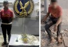 نكشف فيديو قيام عاطل تكسير قواعد أعمدة الإنارة بالإسكندرية